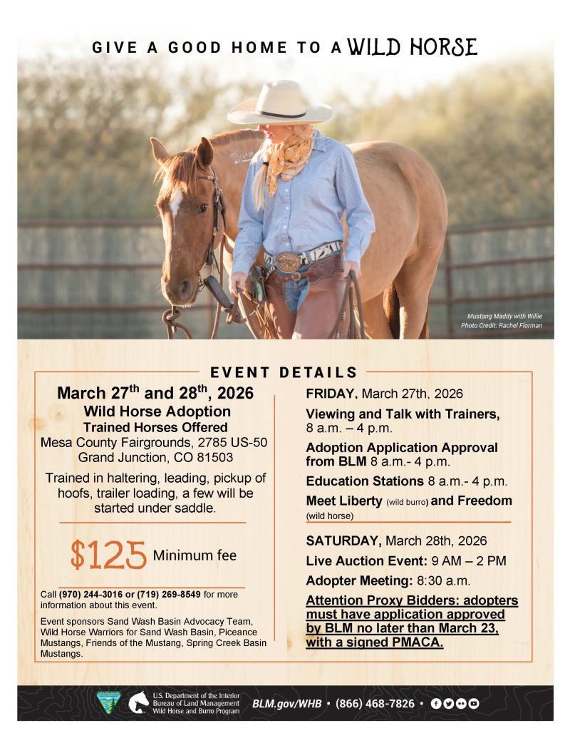 Wild Horse Adoption