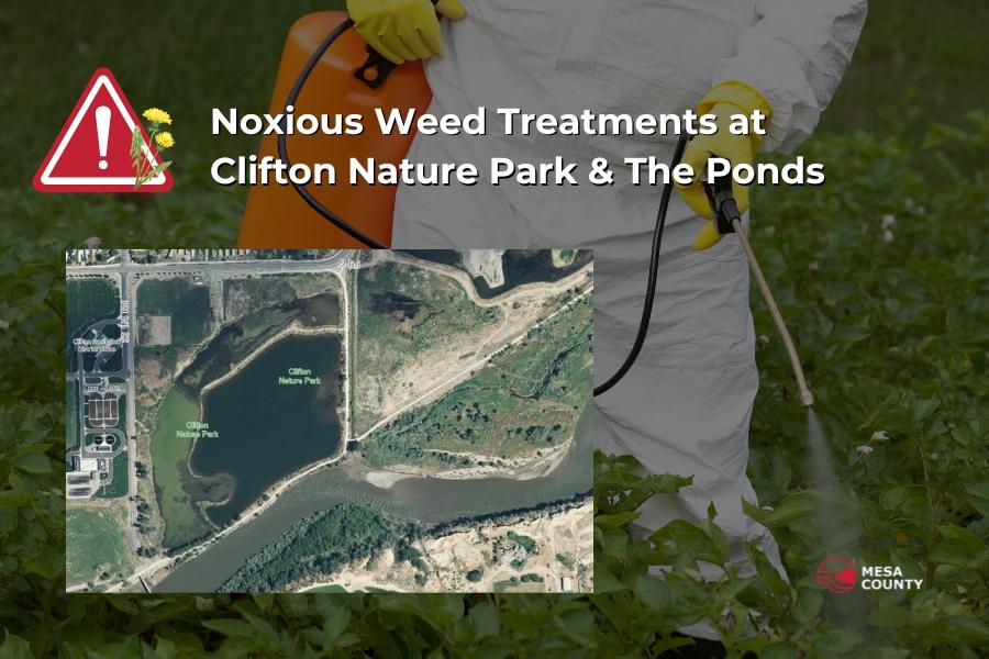 Hands wearing yellow gloves spraying weeds with a red caution sign and a yellow weed with white text reading, "Noxious Weed Treatments at Clifton Nature Park & The Ponds," with a location map and red and white Mesa County logo.