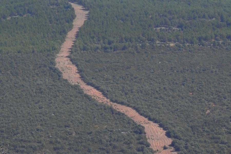 Aerial view of green bushes and brown fire break. 