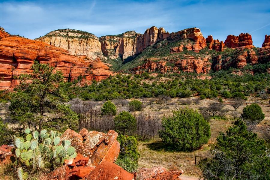 Red rocks and green bushes in an open space. 