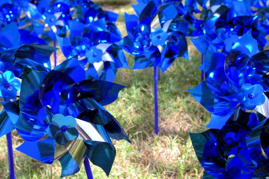 Photograph of lawn with blue pinwheels