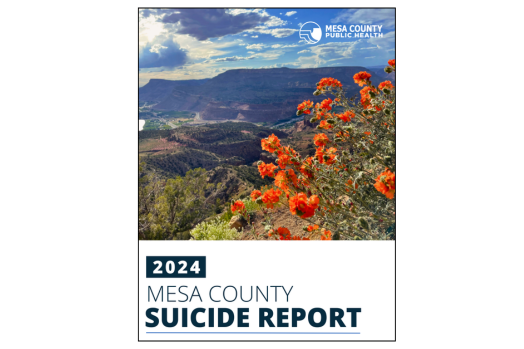 cover page with mountains and orange flowers with text 2024 Mesa County suicide report