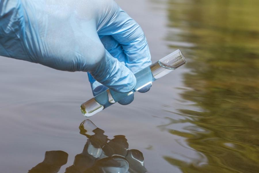 A hand wearing a blue glove taking a water sample in a body of water. 