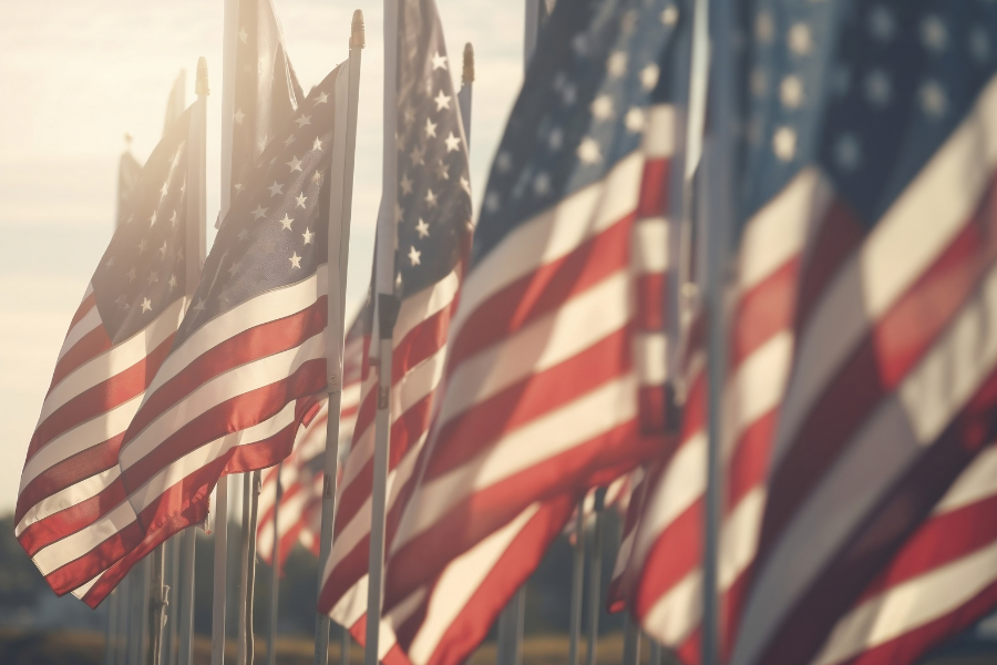 American flags lined up and flowing in the wind.