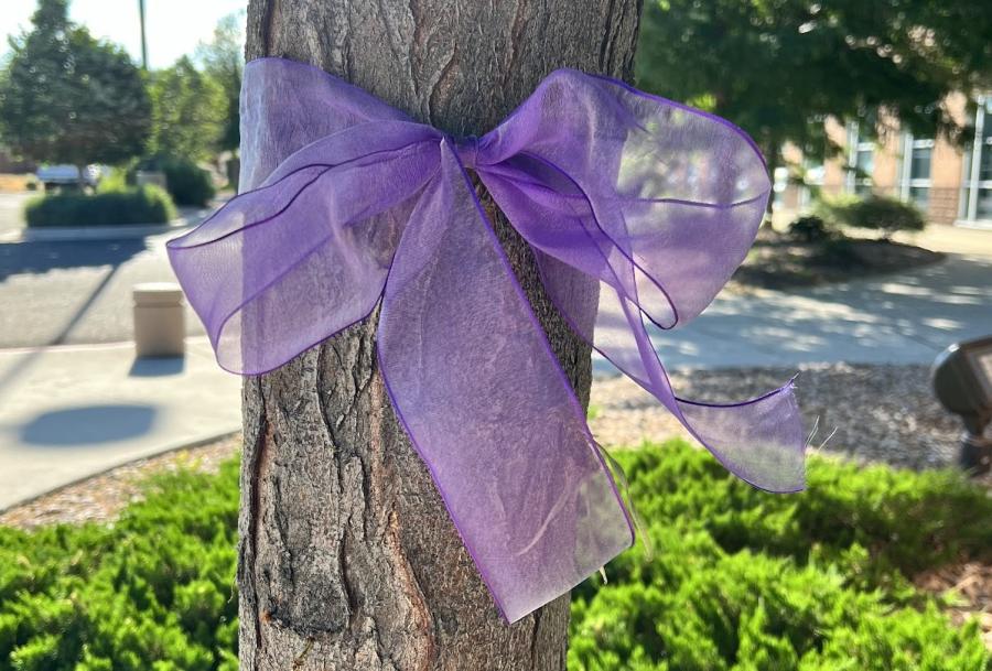 Purple Ribbon tied around a tree at Human Services building